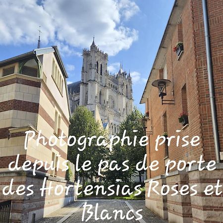 Les Hortensias Blancs Studio Amiens Ngoại thất bức ảnh