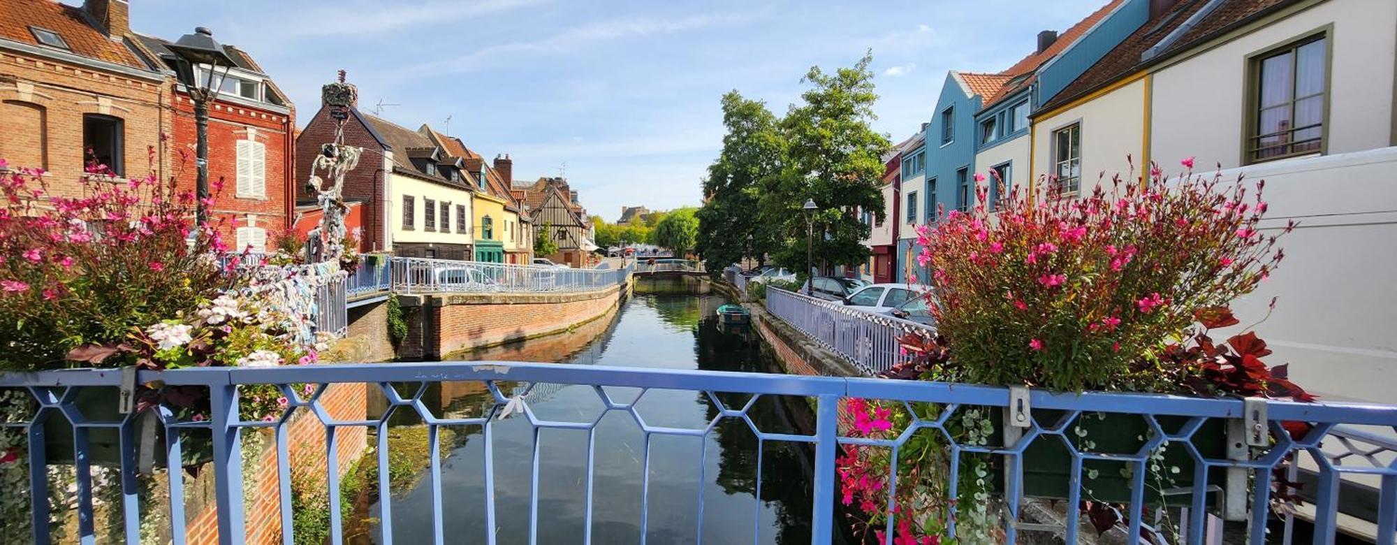 Les Hortensias Blancs Studio Amiens Ngoại thất bức ảnh